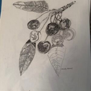 Cherries