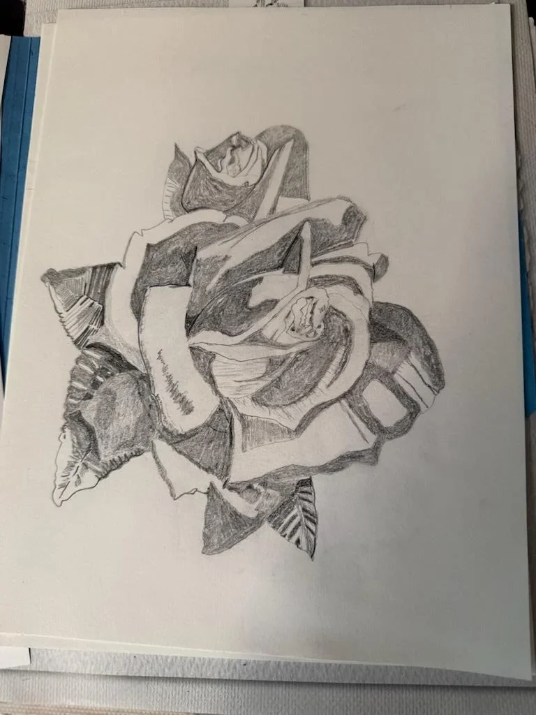 Rose