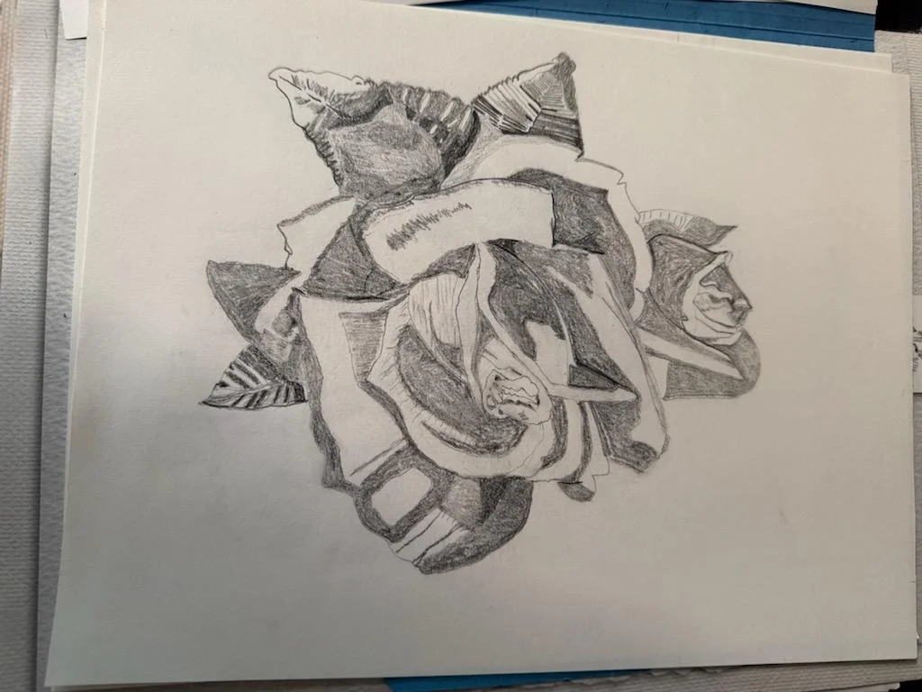 Rose