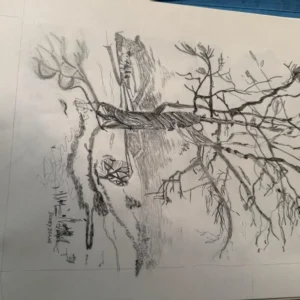 Winter Tree