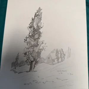 Tree of Life